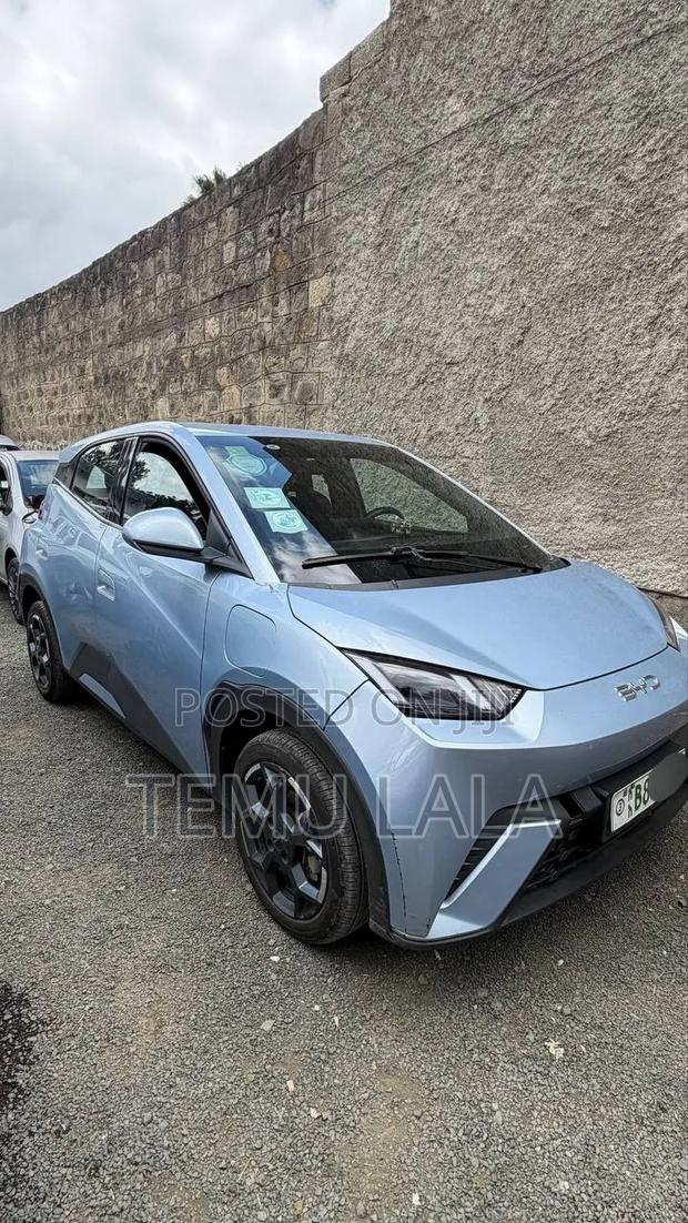 BYD Seagull 2024 Blue