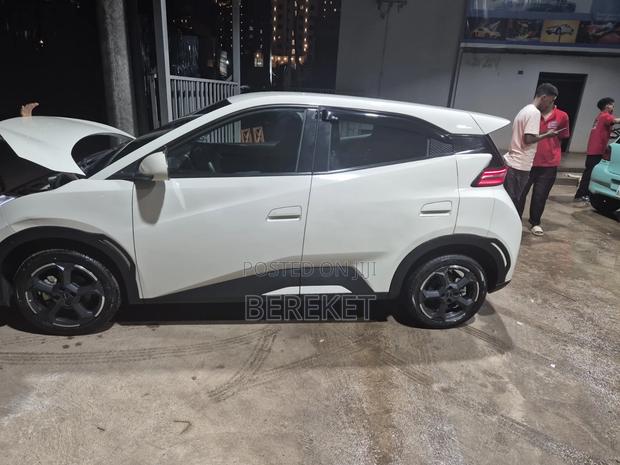 BYD Seagull 2024 White