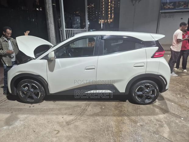 BYD Seagull 2024 White