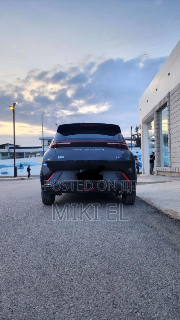 BYD Seagull 38 kWh FWD 2024 Black