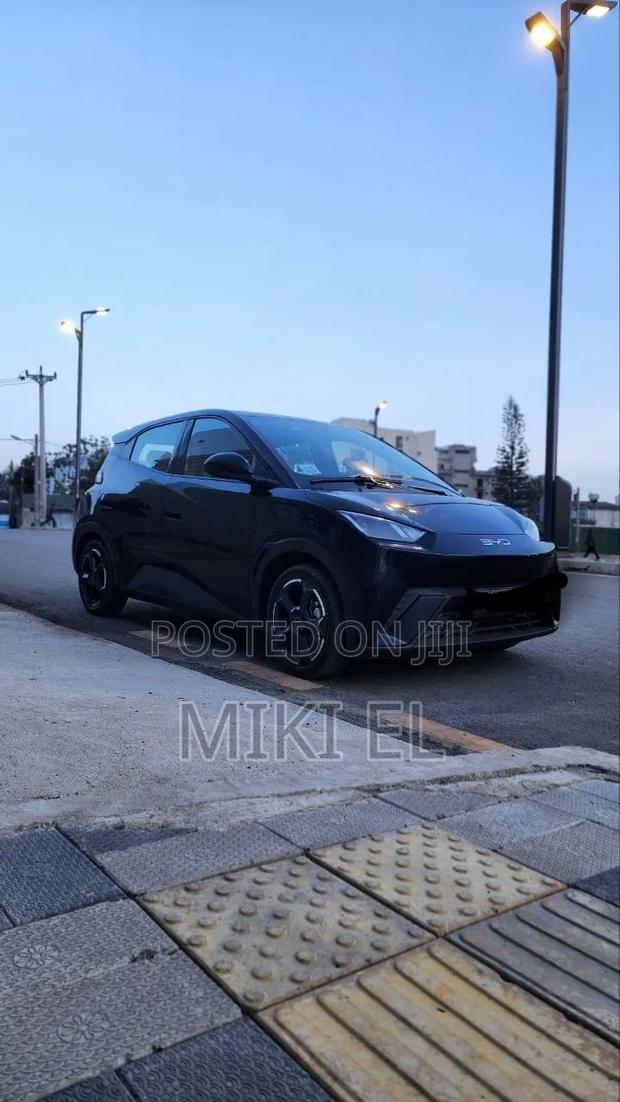 BYD Seagull 38 kWh FWD 2024 Black