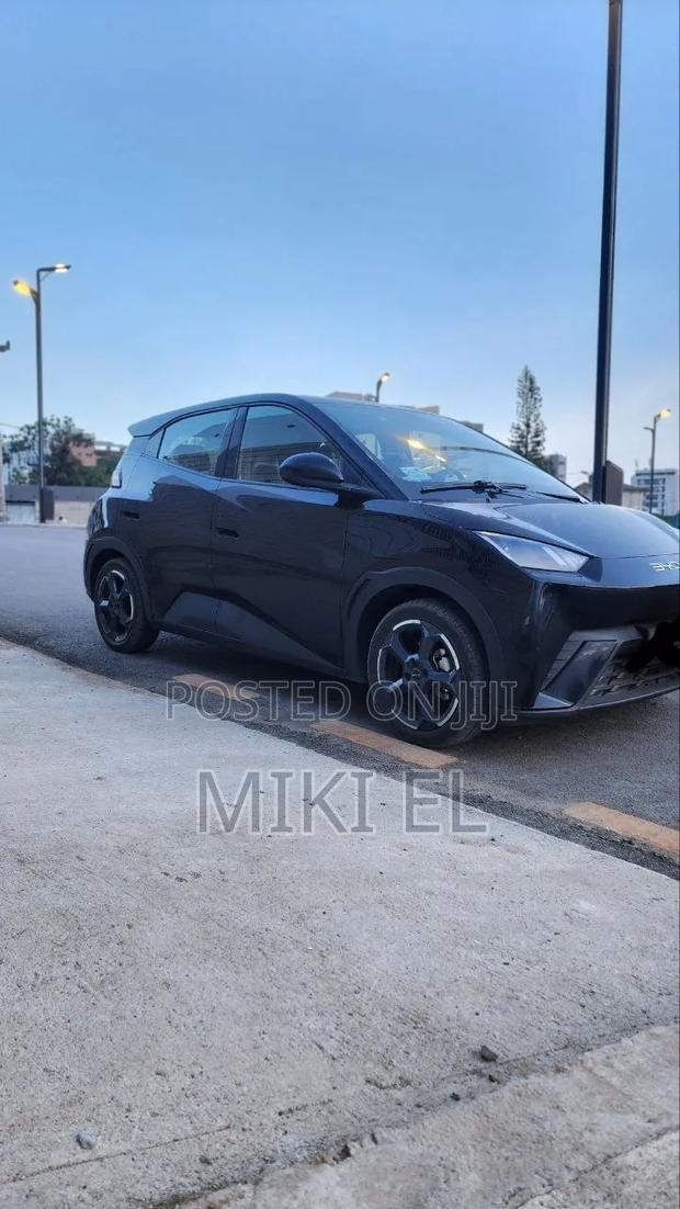 BYD Seagull 38 kWh FWD 2024 Black