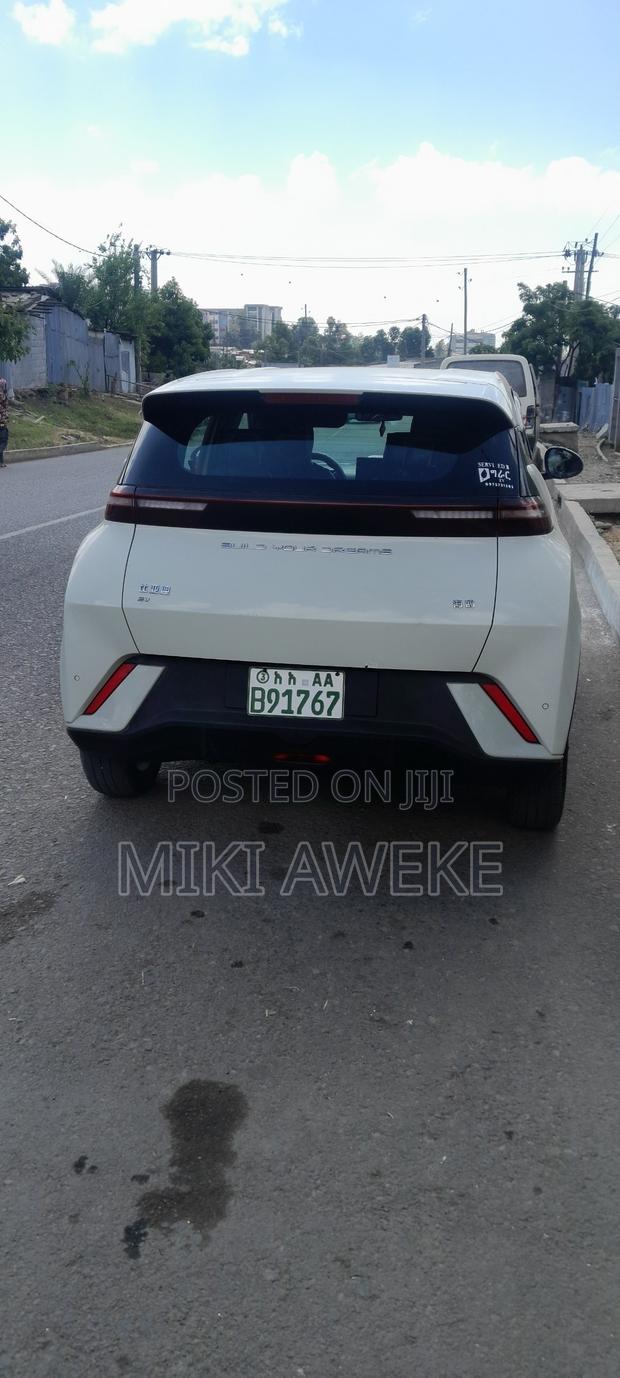 BYD Seagull 38 kWh FWD 2024 White
