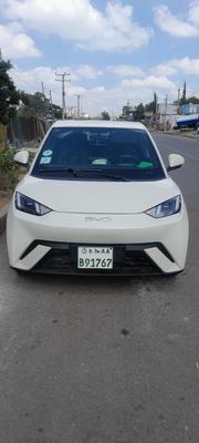 BYD Seagull 38 kWh FWD 2024 White for sale