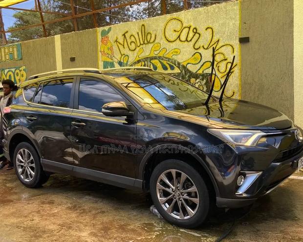 Toyota RAV4 2018 Gray