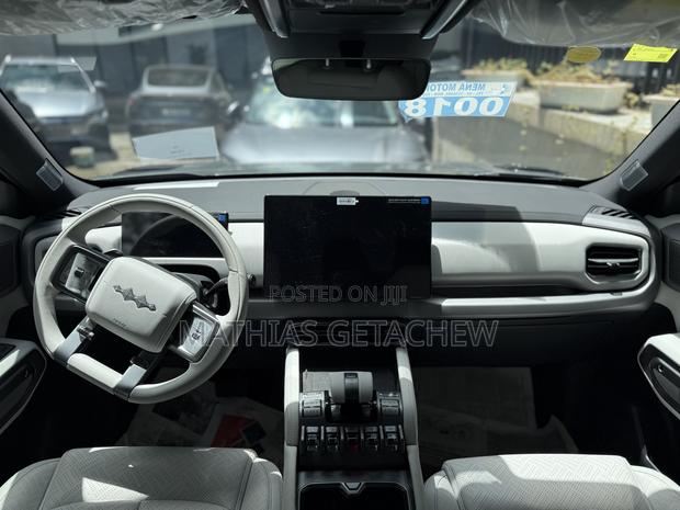New BYD Leopard 3 2025 Green
