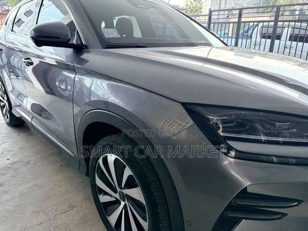 BYD Song Plus 2024 Gray
