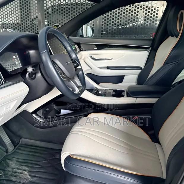 BYD Song Plus 2024 Gray