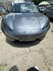 New Car 2025 Gray for sale