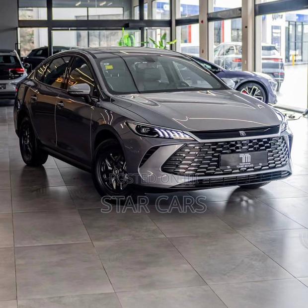 New BYD Qin Plus DM-i 2025 Gray