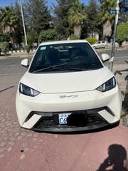 BYD Seagull 2024 White for sale