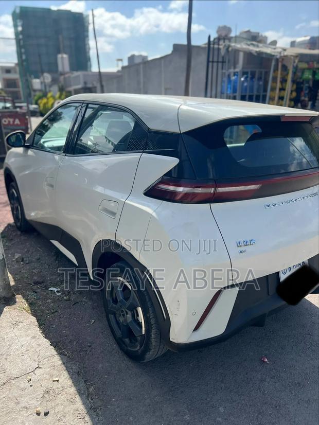 BYD Seagull 2024 White