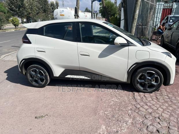 BYD Seagull 2024 White