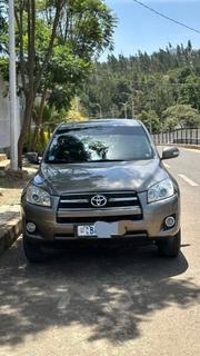 Toyota RAV4 2009 Brown for sale