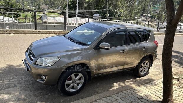 Toyota RAV4 2009 Brown