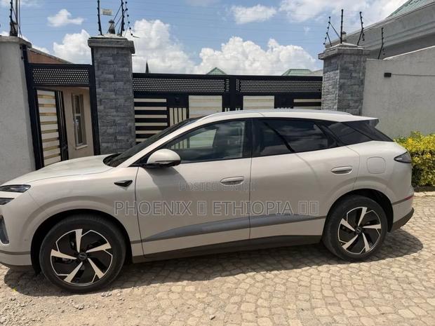 BYD Sealion 06 DM-i 2025 White