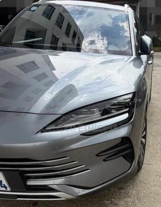 BYD Song Plus 2024 Gray