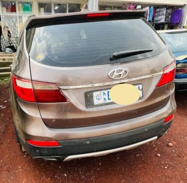 Hyundai Santa Fe 2016 Pink