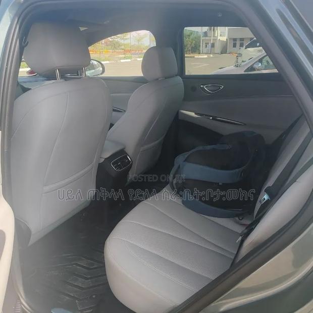 BYD Seal 06 DM-i 2026 Green