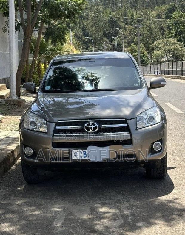 Toyota RAV4 2009 Brown
