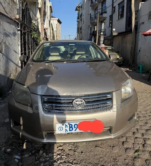 Toyota Axio 2008 Gray