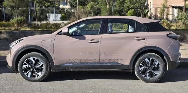 Hozon Neta U 2022 Pink