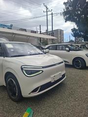 New Dongfeng Nammi 01 2025 White for sale