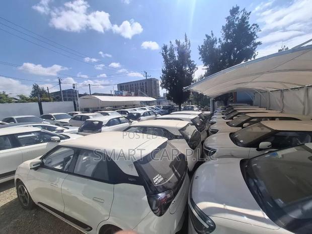 New Dongfeng Nammi 01 2025 White