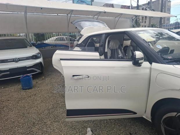 New Dongfeng Nammi 01 2025 White