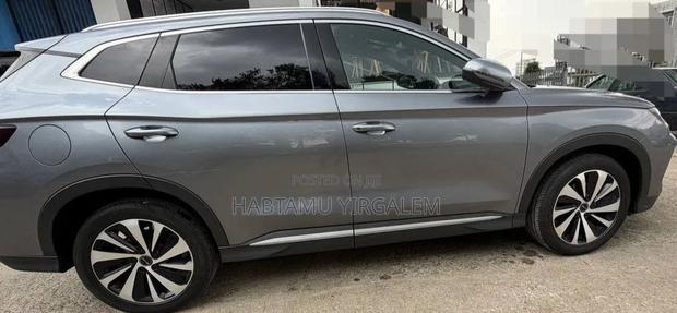 BYD Song Plus 2024 Gray