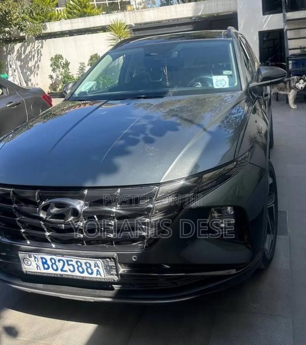 Hyundai Tucson 2021 Green