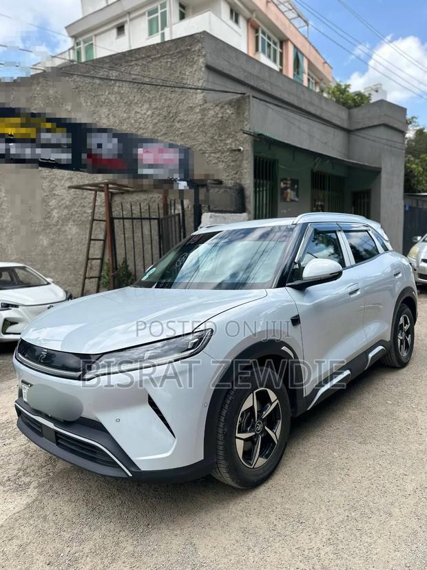BYD Yuan Up 2025