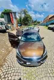 Suzuki Ciaz 2022 Brown for sale