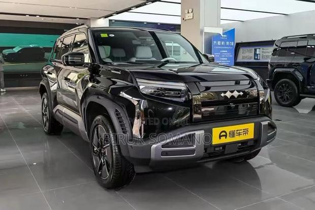 New BYD Leopard 3 2026 Black