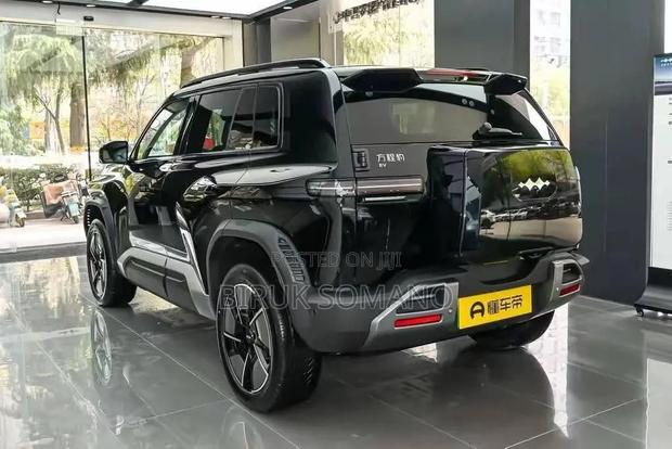 New BYD Leopard 3 2026 Black