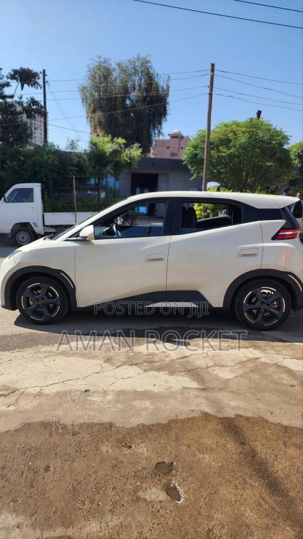 BYD Seagull 2024 White