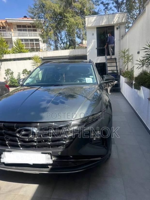 Hyundai Tucson 2021 Gray