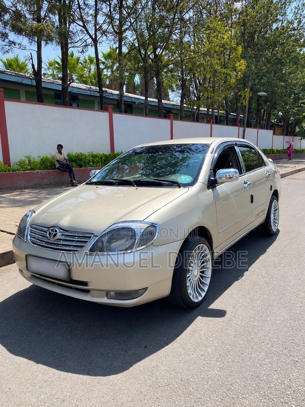 Toyota Corolla Sedan 2003 Gray
