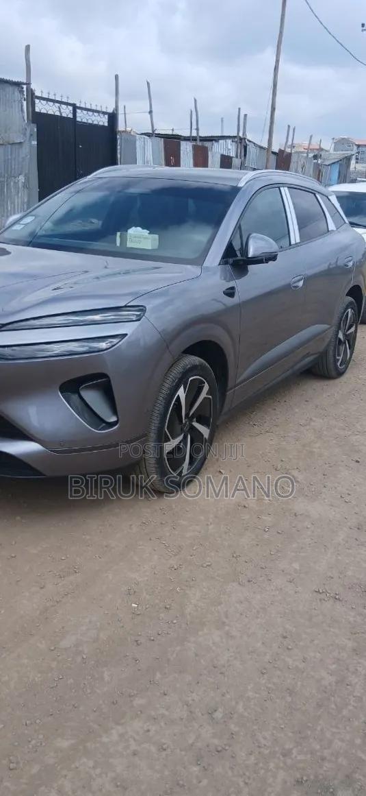 BYD Sealion 06 EV 2025 Gray