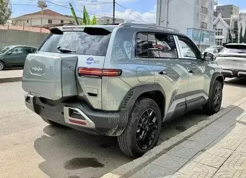 New BYD Leopard 3 2025 Gray