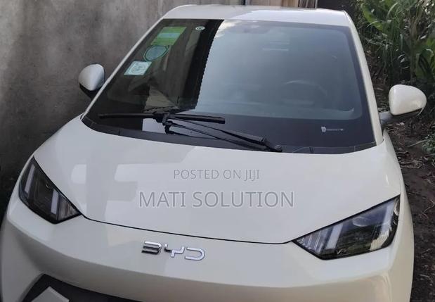 New BYD Seagull 2025 White