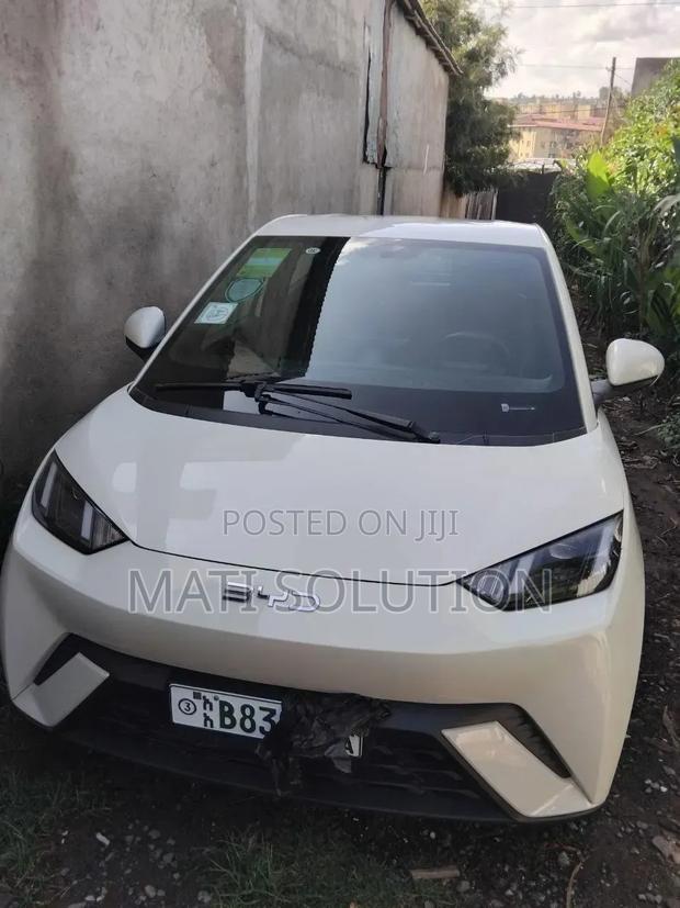 New BYD Seagull 2025 White