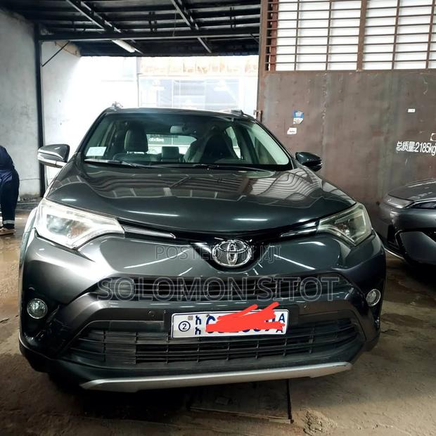 Toyota RAV4 2017 Brown