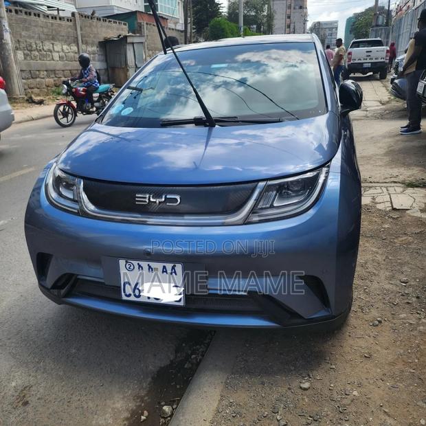 New BYD Seagull 2025 Gray