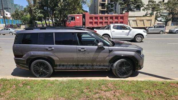 Hyundai Santa Fe 2024 Gray