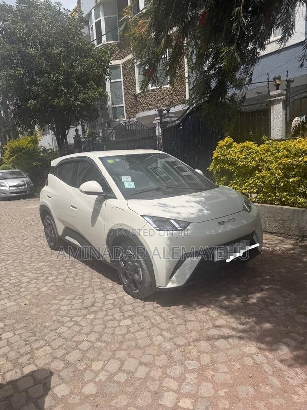 BYD Seagull 2024 White
