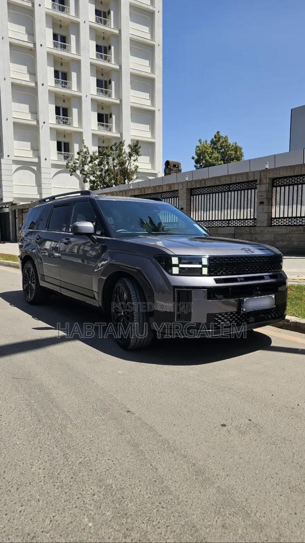Hyundai Santa Fe 2024 Brown