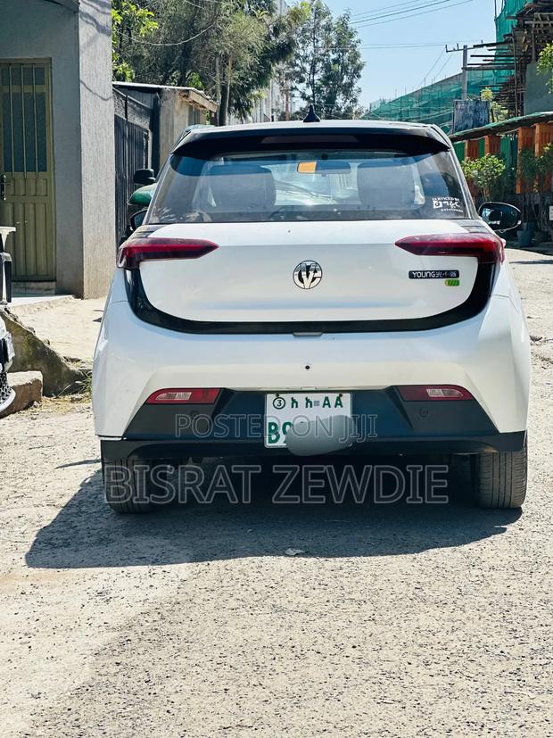 Dongfeng EV EX1 33 kW FWD 2023 White