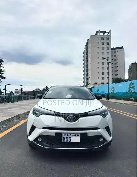 Car 2019 White
