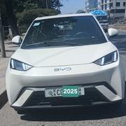 BYD Seagull 2024 White for sale